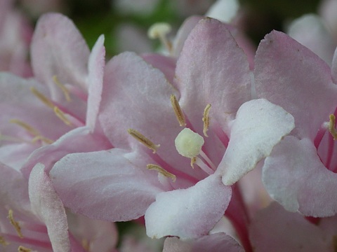 �^�j�E�c�M