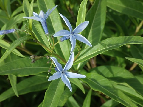 �`���E�W�\�E