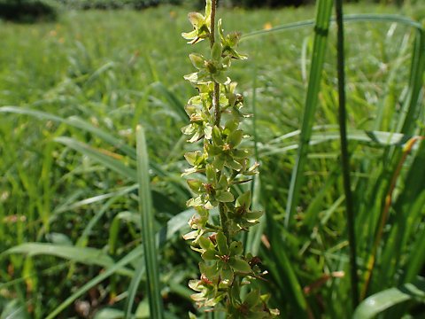 �A�I���M�\�E