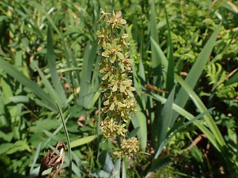 �A�I���M�\�E