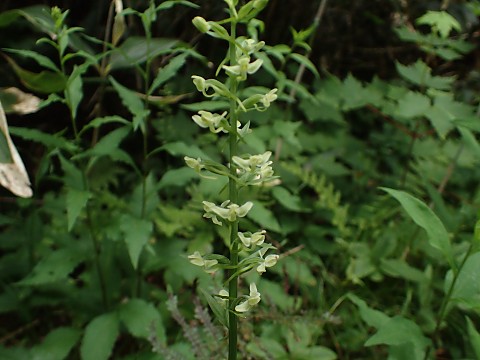 �L�\�`�h��