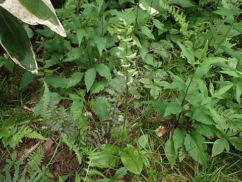 �L�\�`�h��