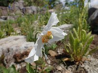 ���R�m�v�V�X