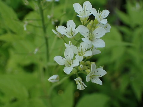 �R�������\�E