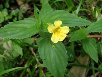 �I�I�o�~�]�z�I�Y�L