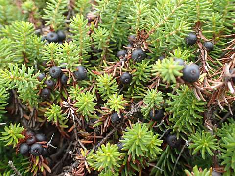 �K���R�E����