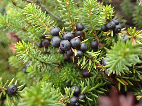 �K���R�E����