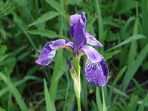 �V�K�A����