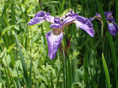 �V�K�A����