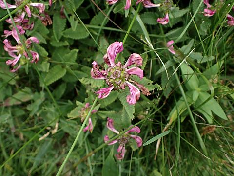 �V�I�K�}�M�N