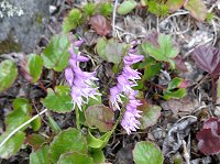 �~���}���W�Y��