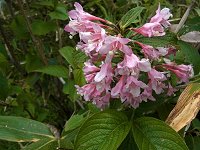 �^�j�E�c�M