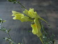 �z�\�o�E������