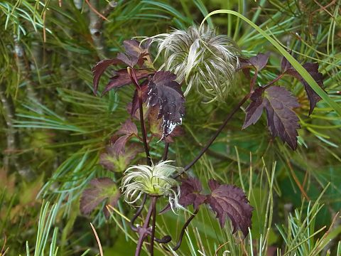 �~���}�n���V���E�d��