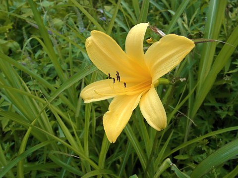 �j�b�R�E�L�X�Q