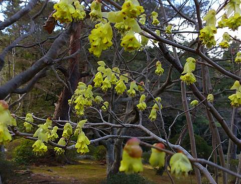 �g�T�~�Y�L