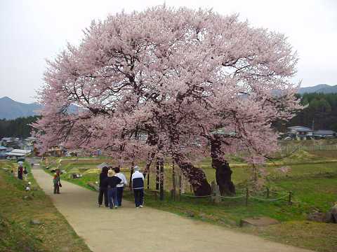 �����̃G�h�q�K���U�N��