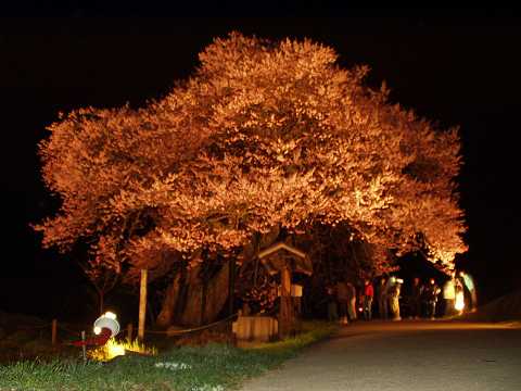 �����̃G�h�q�K���U�N��