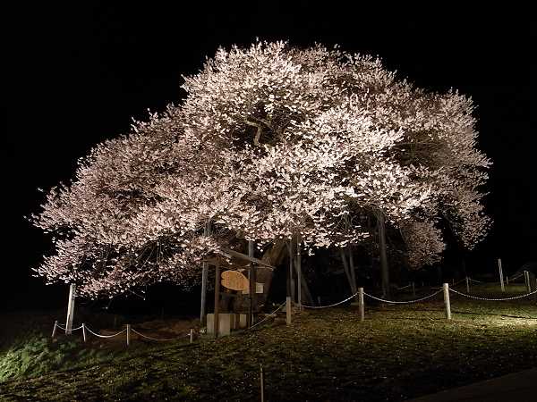 �����̃G�h�q�K���U�N��