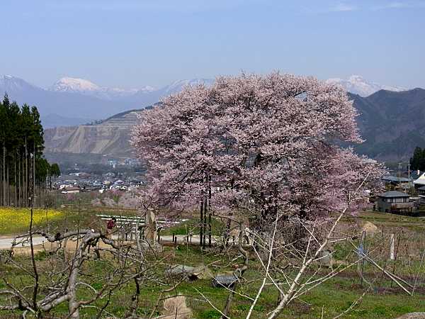 �����̃G�h�q�K���U�N��