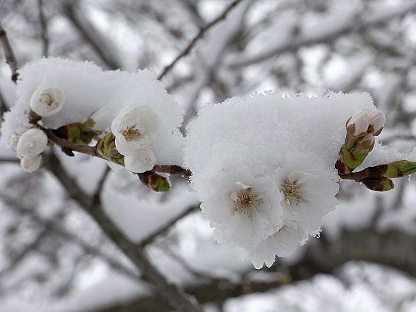 �R�u�N�U�N��