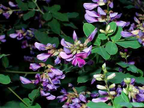 �}���o�n�M