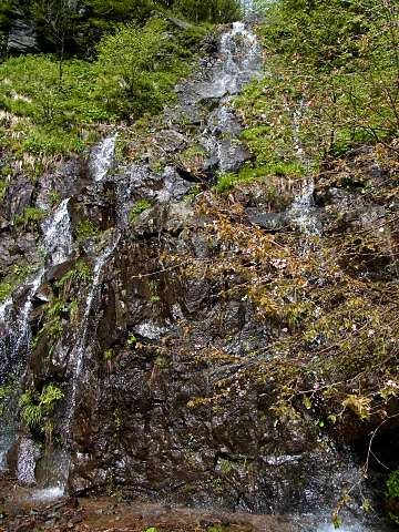 �^�J�l�U�N��