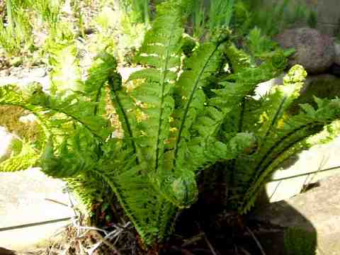 ������ƐL�т������N�T�\�e�c