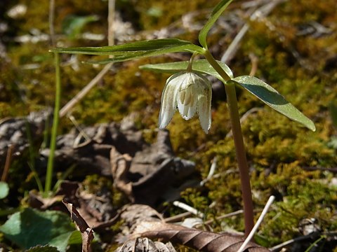 �R�V�m�R�o�C��