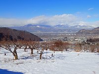 ���g�P��