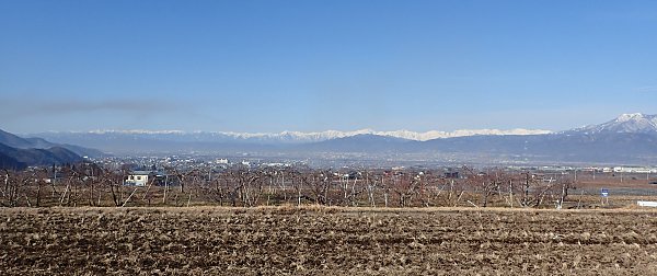 �ʎ��̙���}��R�₷�����Y����