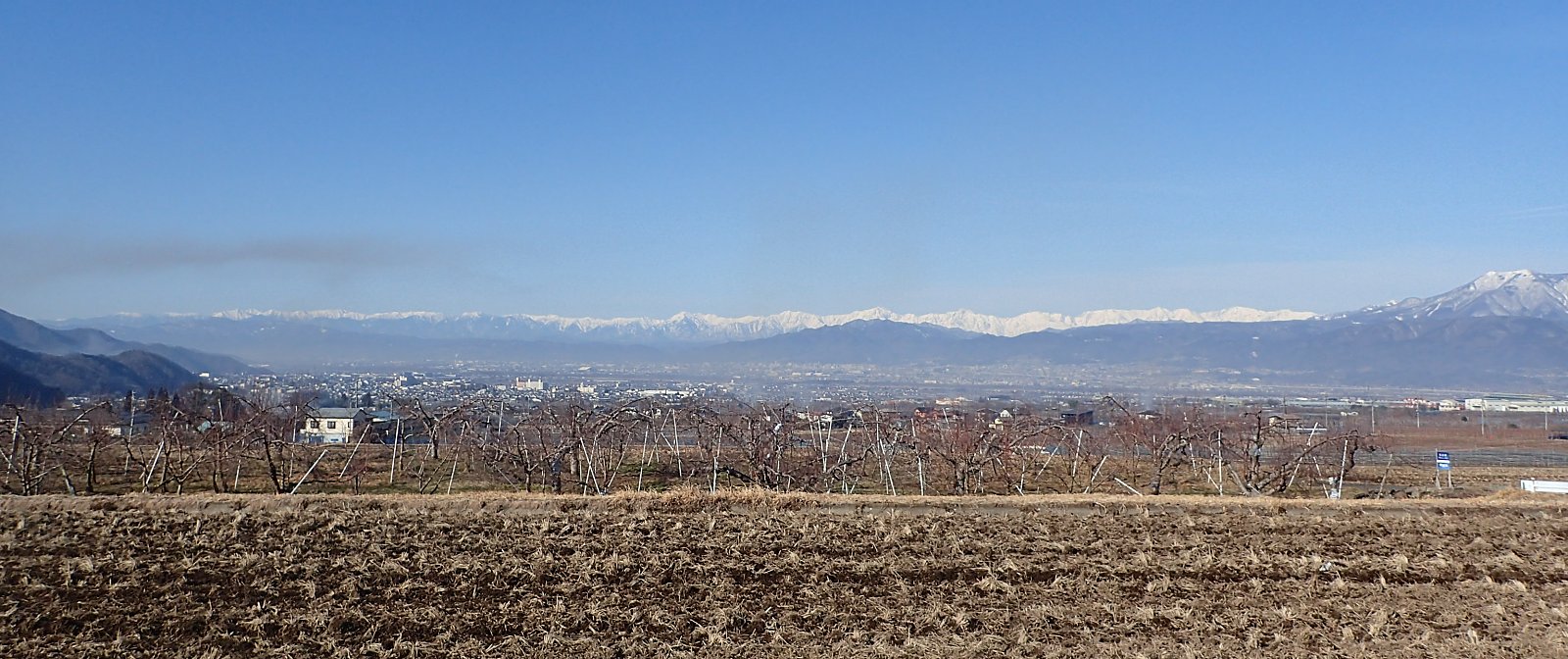 �ʎ��̙���}��R�₷�����Y����